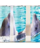 20oz Skinny Tumbler Printed Paper – Don’t F*ck with my Energy
