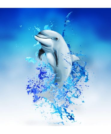 20oz Skinny Tumbler Printed Paper – Dolphin Splash