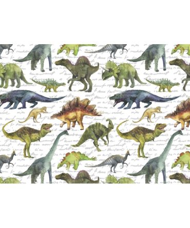 12oz Sublimation Flip Top Water Bottle Print – Hand Drawn Dinosaurs