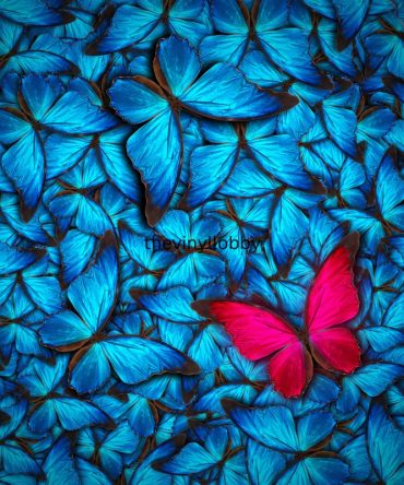 20oz Skinny Tumbler Printed Paper – Blue and Pink Butterfly