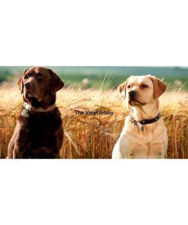 2 Labrador’s printed Sublimation Paper for 11oz mug